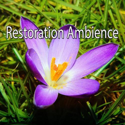 Restoration Ambience