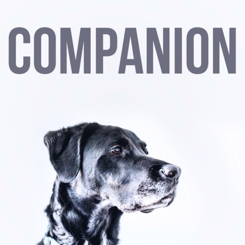 Companion