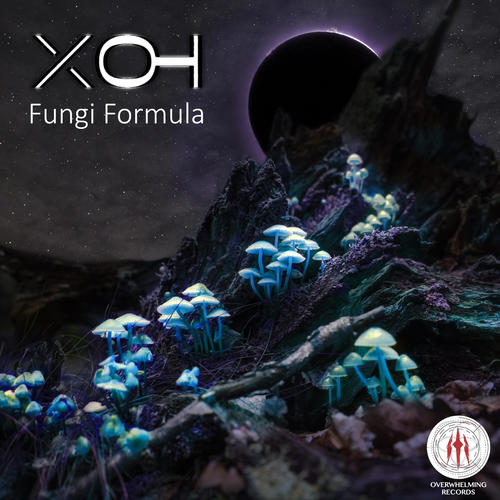 Fungi Formula