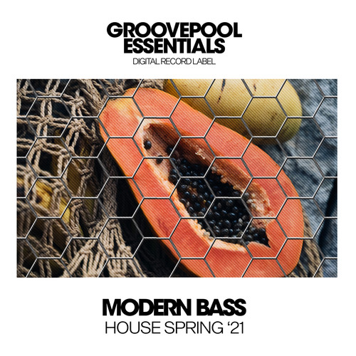 Modern Bass House (Spring '21)