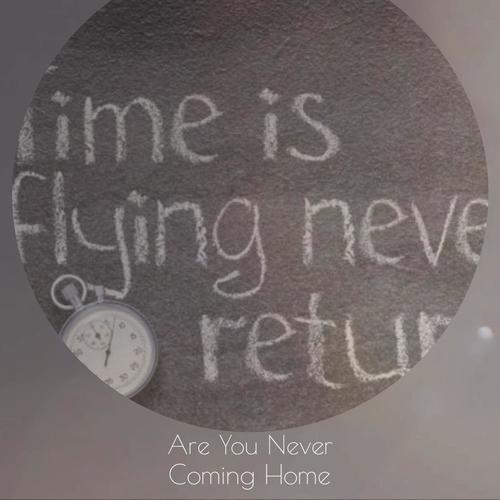 Are You Never Coming Home