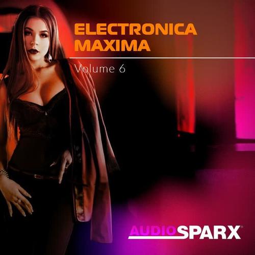 Electronica Maxima Volume 6