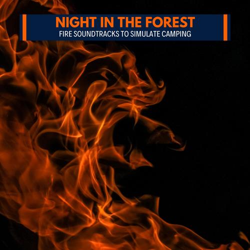 Night in the Forest - Fire Soundtracks to Simulate Camping