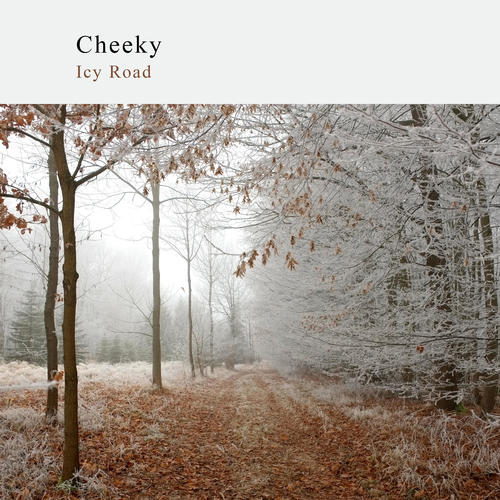 Icy Road