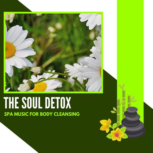 The Soul Detox - Spa Music For Body Cleansing