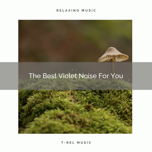 The Best Violet Noise For You