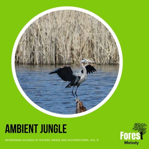 Ambient Jungle - Whispering Sounds of Waters, Winds and Woodpeckers, Vol. 8