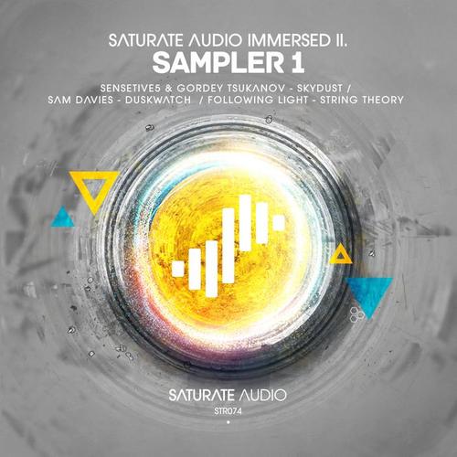 Saturate Audio Immersed II. Sampler 1