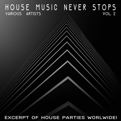 House Music Never Stops, Vol. 2