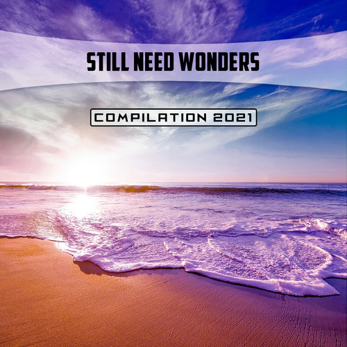 Still Need Wonders Compilation 2021 (Explicit)