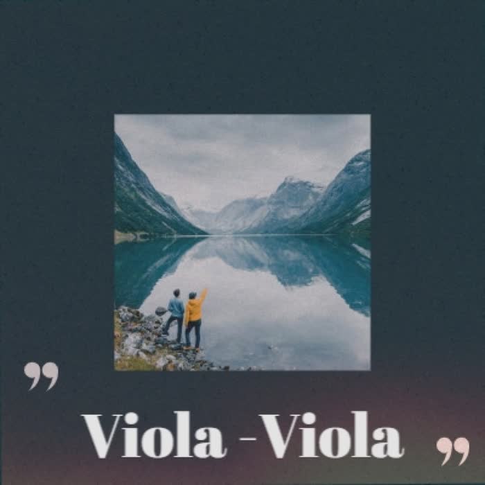 Viola -Viola