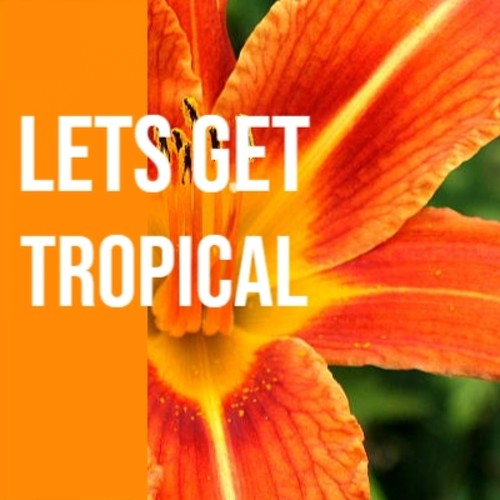 Lets Get Tropical