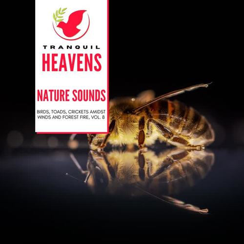 Nature Sounds - Birds, Toads, Crickets amidst Winds and Forest Fire, Vol. 8