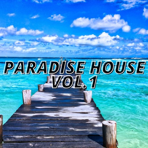 Paradise House Vol.1