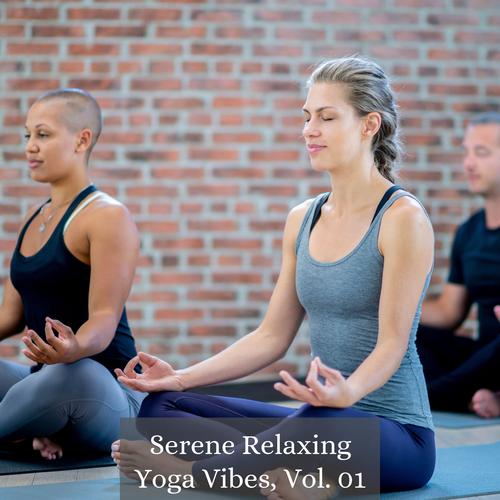 Serene Relaxing Yoga Vibes, Vol. 01