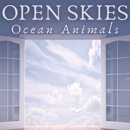 Open Skies