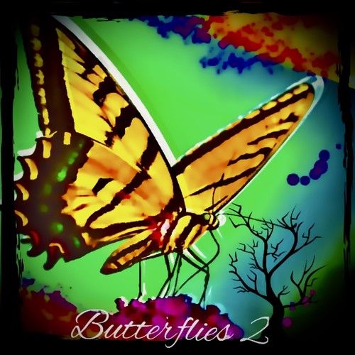 Butterflies 2