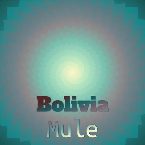 Bolivia Mule