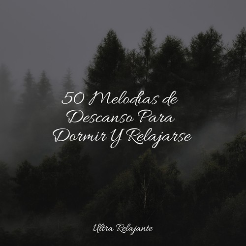 50 Melodías de Descanso Para Dormir Y Relajarse