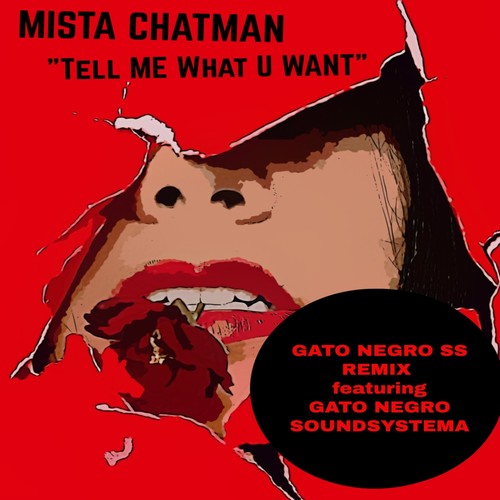 Tell Me What U Want (Gato Negro Soundsystema Remix) [feat. Gato Negro Soundsystema]