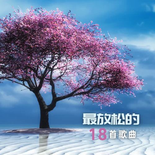 最放松的18首歌曲 – 最新的新世纪音乐，缓解压力，疗愈的声音