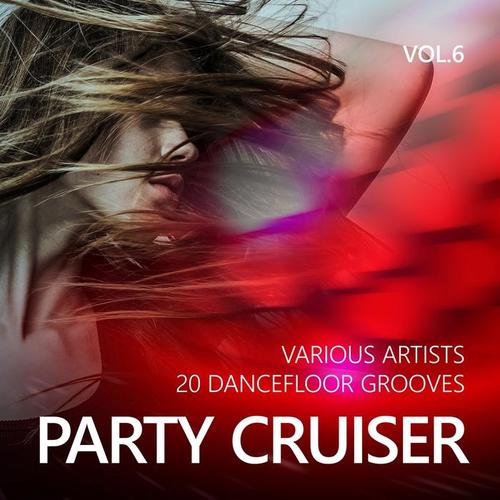 Party Cruiser (20 Dancefloor Grooves) , Vol. 6