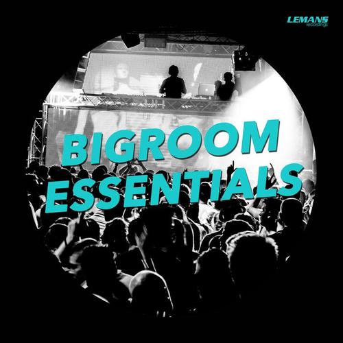 Bigroom Essentials