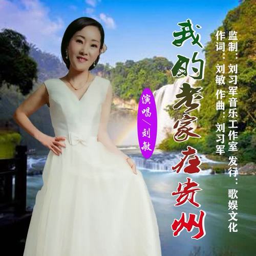我的老家在贵州（DJ版）