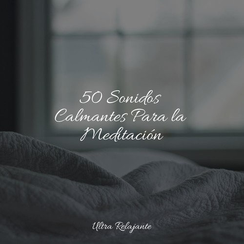 50 Sonidos Calmantes Para la Meditación