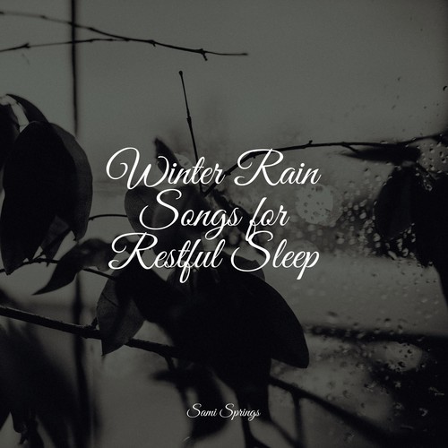 Winter Rain Songs for Restful Sleep