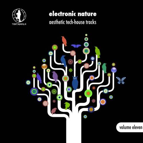 Electronic Nature, Vol. 11 - Aesthetic Tech-House Tracks! (Explicit)