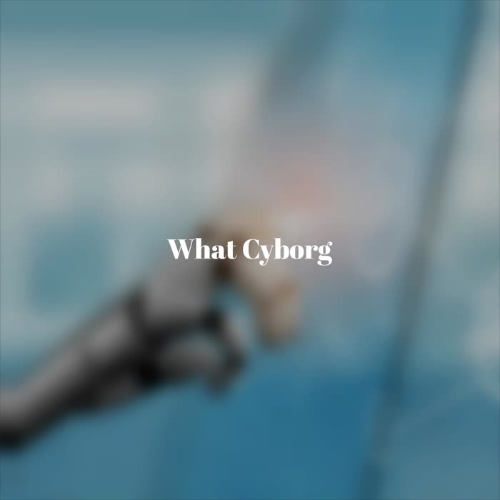 What Cyborg