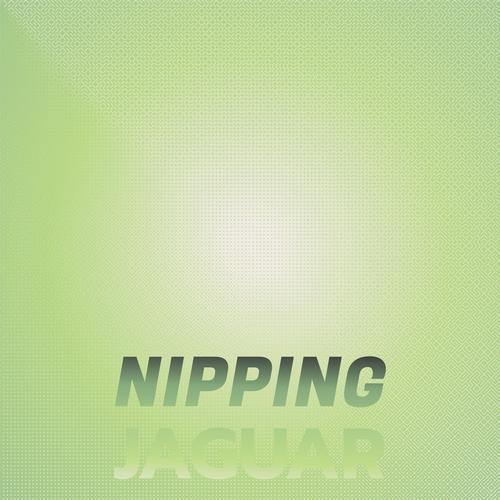 Nipping Jaguar