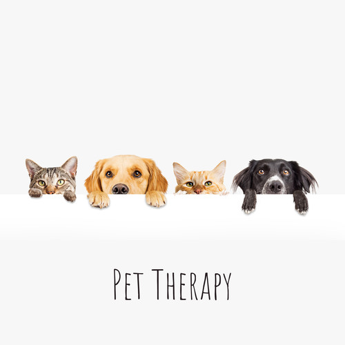 Pet Therapy - Relaxing Music to Soothe and Comfort Pets and Help Calm and Reduce Anxiety