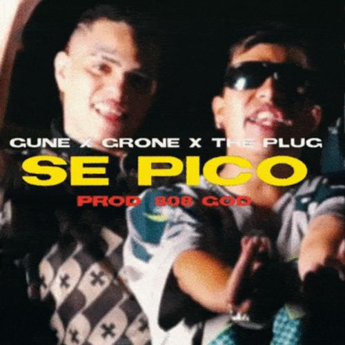 Se picó (feat. grone & theplug) (Explicit)