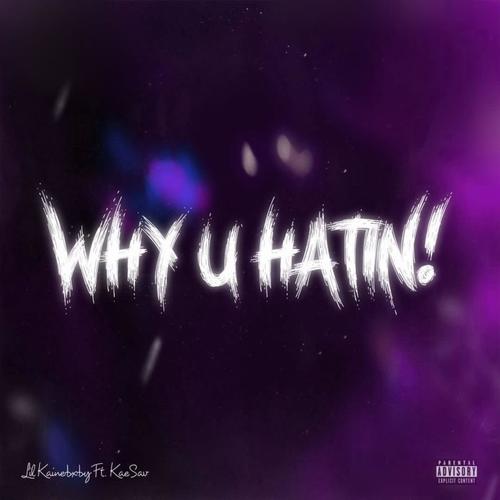 WHY U HATIN! (feat. KaeSav & X2flee) [Explicit]