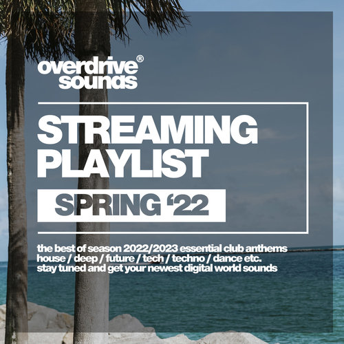 Streaming Playlist (Spring '22)