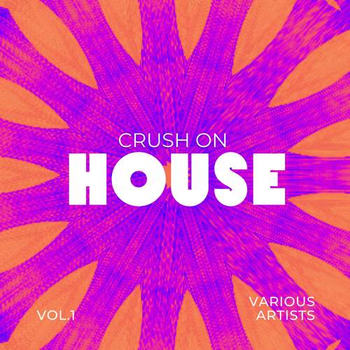 Crush On House, Vol. 1 (Explicit)