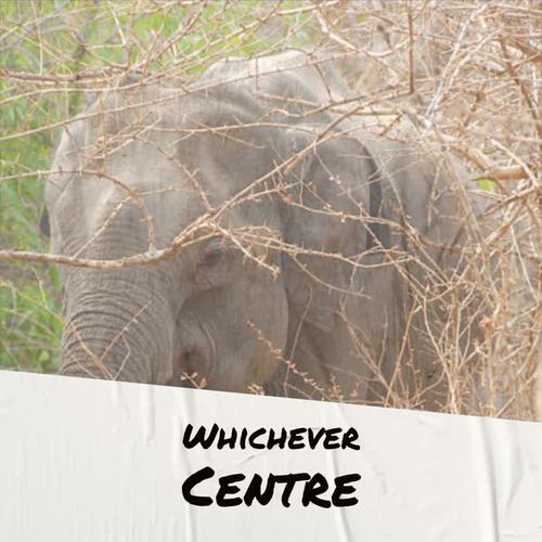 Whichever Centre