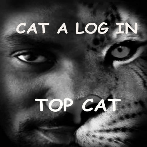 Cat A Log In