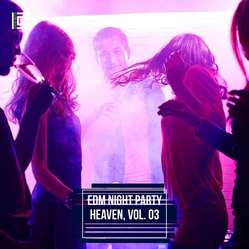 EDM Night Party Heaven, Vol. 03