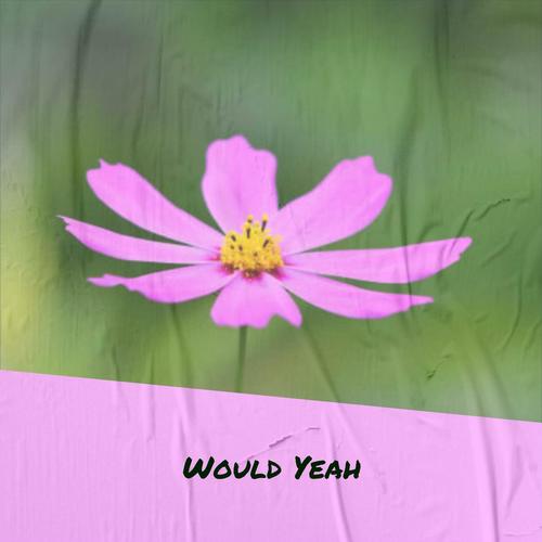 Would Yeah