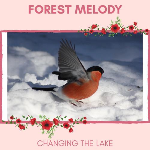 Forest Melody - Changing The Lake