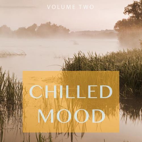 Chilled Mood, Vol. 2 (Finest in Chill Out & Ambient Music)