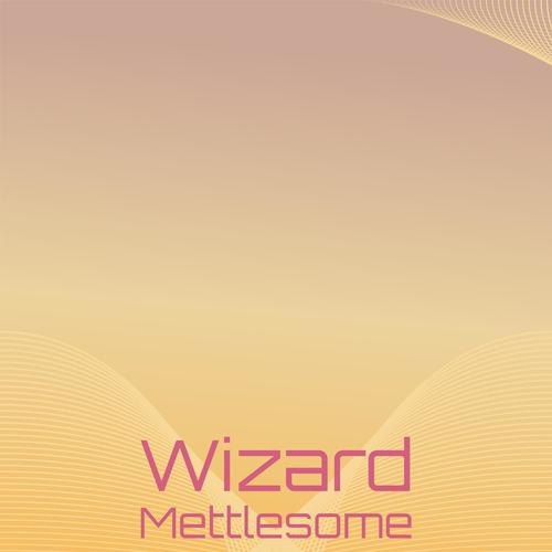 Wizard Mettlesome