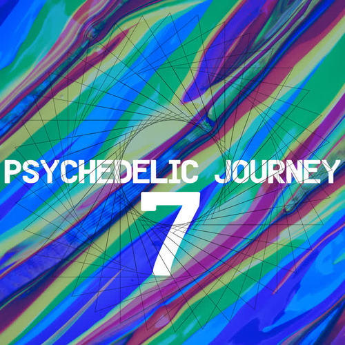 Psychedelic Journey 7 (Explicit)