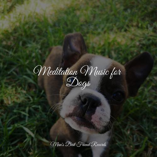 Meditation Music for Dogs