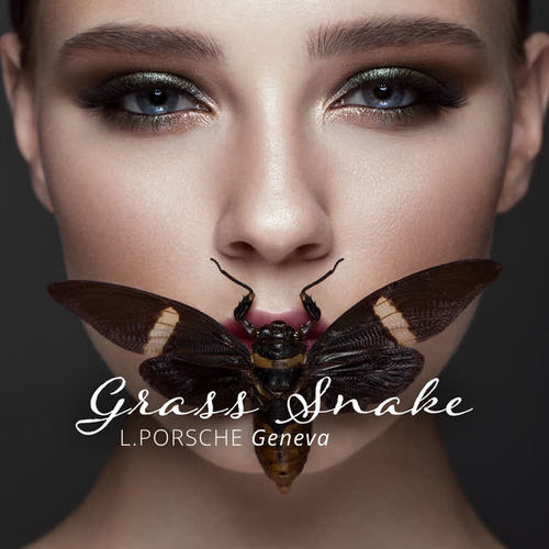 Grass Snake