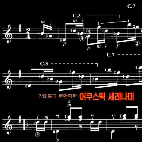 감미롭고 로맨틱한 어쿠스틱 OST 세레나데