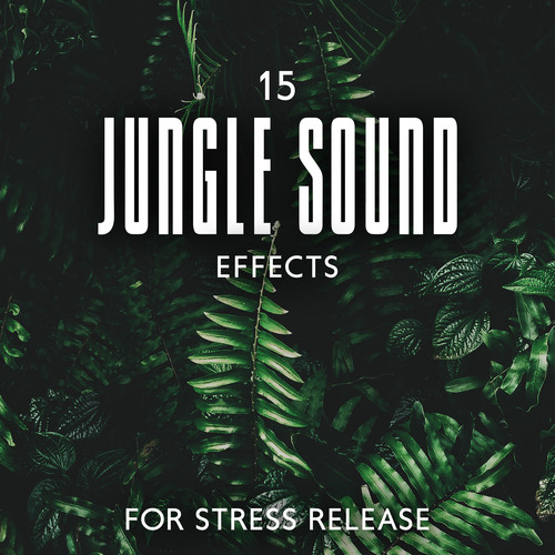 15 Jungle Sound Effects for Stress Release (Exotic Relaxation, Healing Sleep Music)